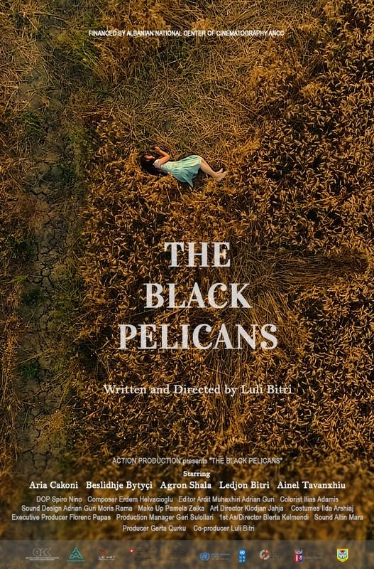 Pelikanet e Zinj - The Black Pelicans (2022)